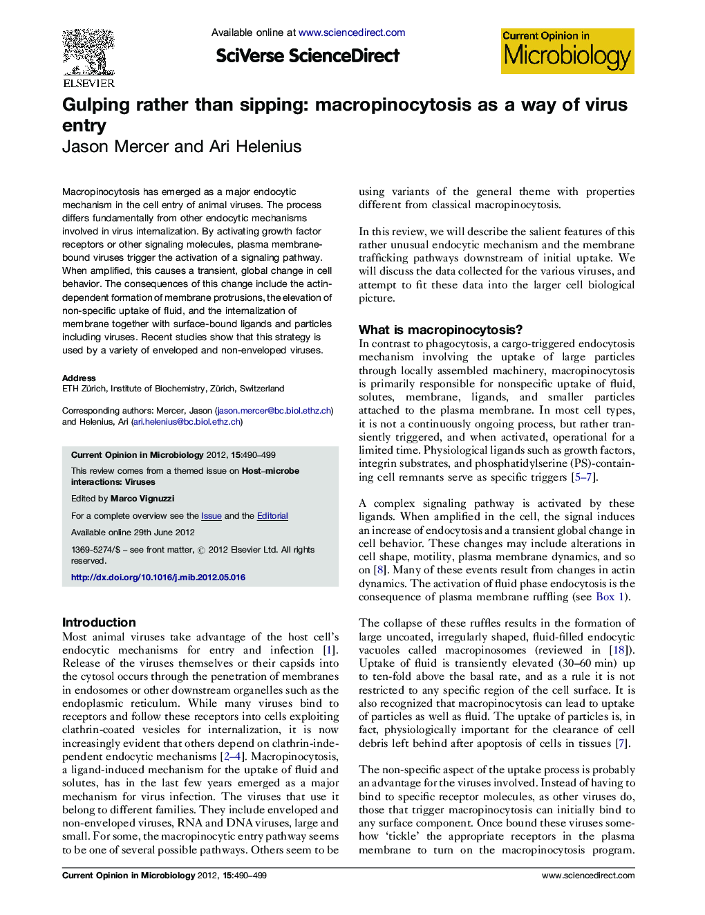 Gulping rather than sipping: macropinocytosis as a way of virus entry