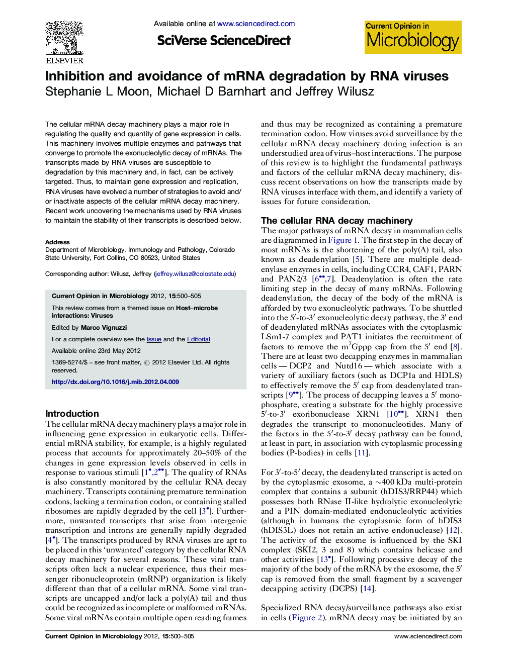 Inhibition and avoidance of mRNA degradation by RNA viruses