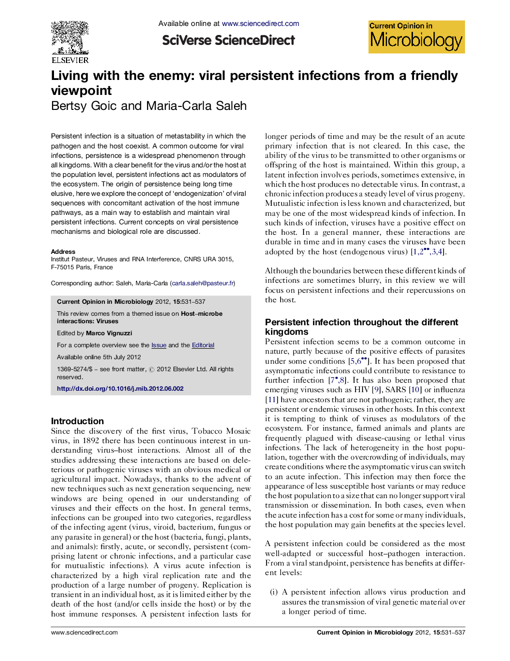 Living with the enemy: viral persistent infections from a friendly viewpoint