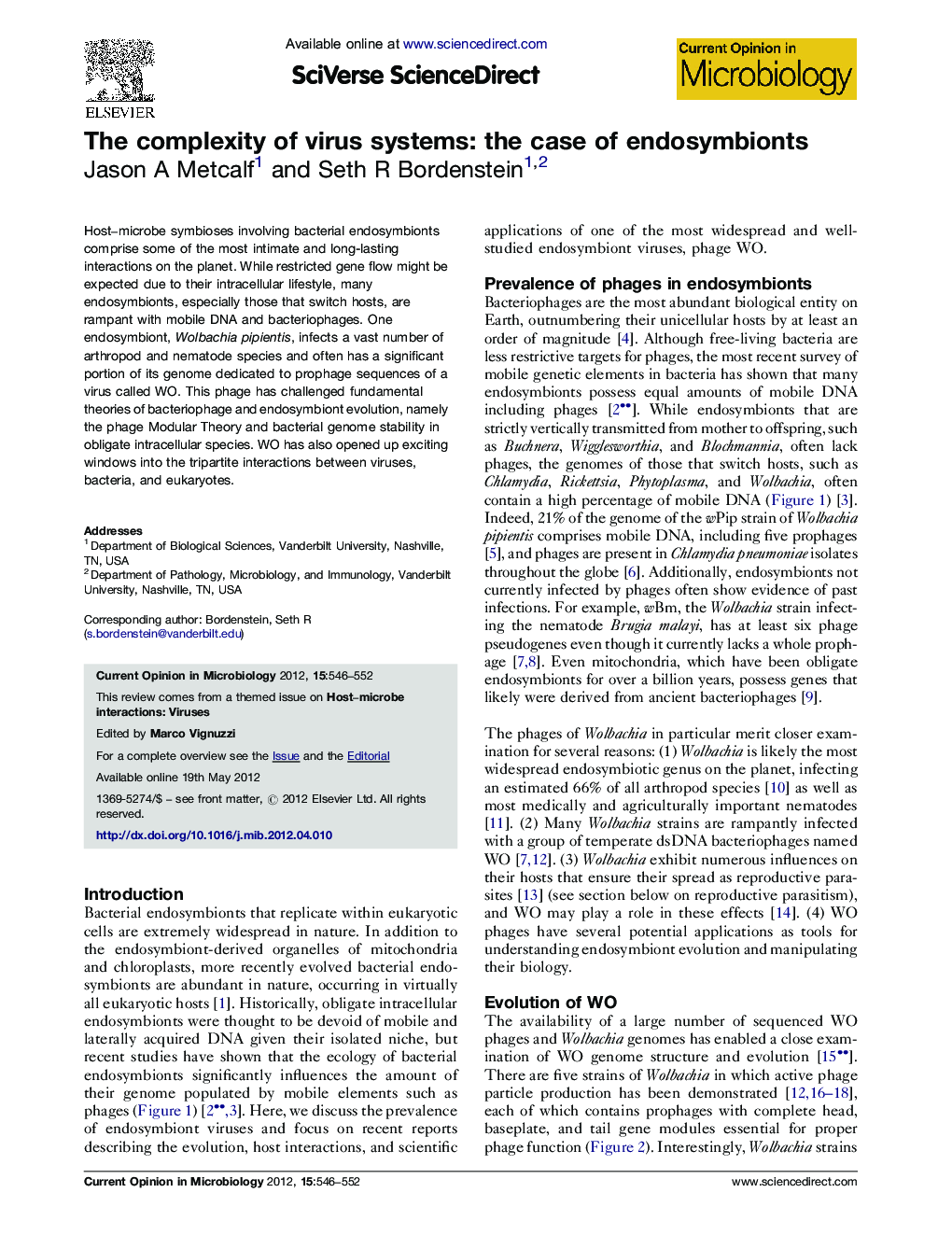 The complexity of virus systems: the case of endosymbionts