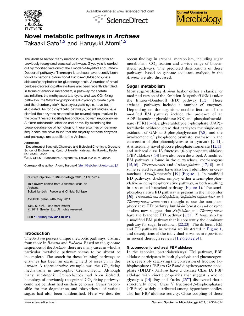 Novel metabolic pathways in Archaea