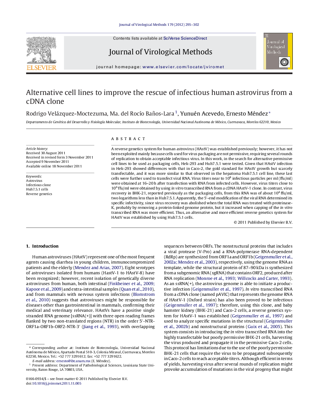 Alternative cell lines to improve the rescue of infectious human astrovirus from a cDNA clone