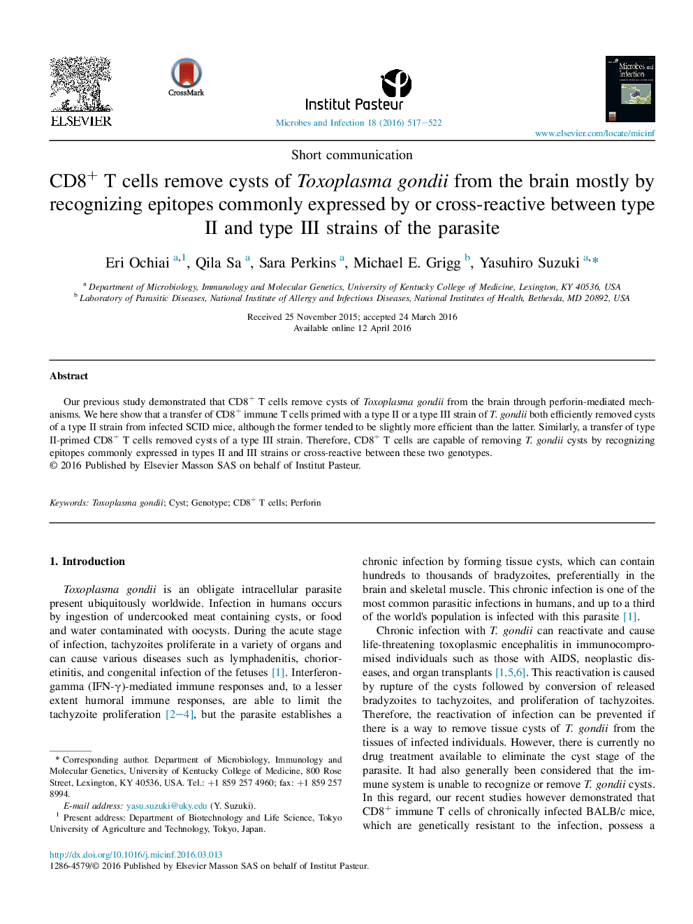 CD8+ T cells remove cysts of Toxoplasma gondii from the brain mostly by recognizing epitopes commonly expressed by or cross-reactive between type II and type III strains of the parasite