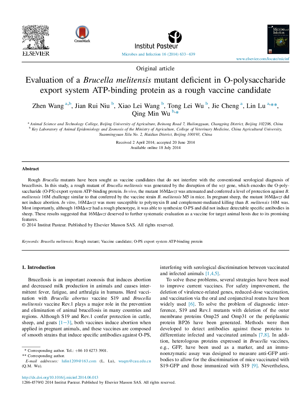 Evaluation of a Brucella melitensis mutant deficient in O-polysaccharide export system ATP-binding protein as a rough vaccine candidate