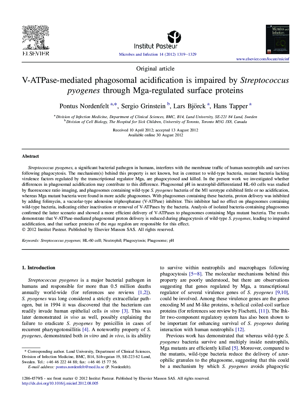 V-ATPase-mediated phagosomal acidification is impaired by Streptococcus pyogenes through Mga-regulated surface proteins