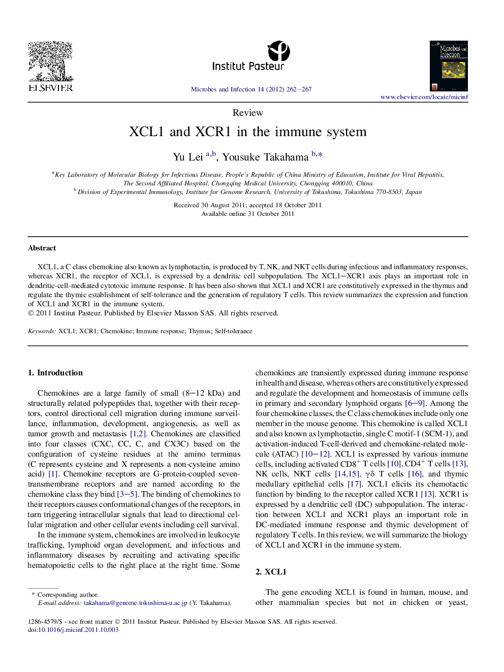 XCL1 and XCR1 in the immune system