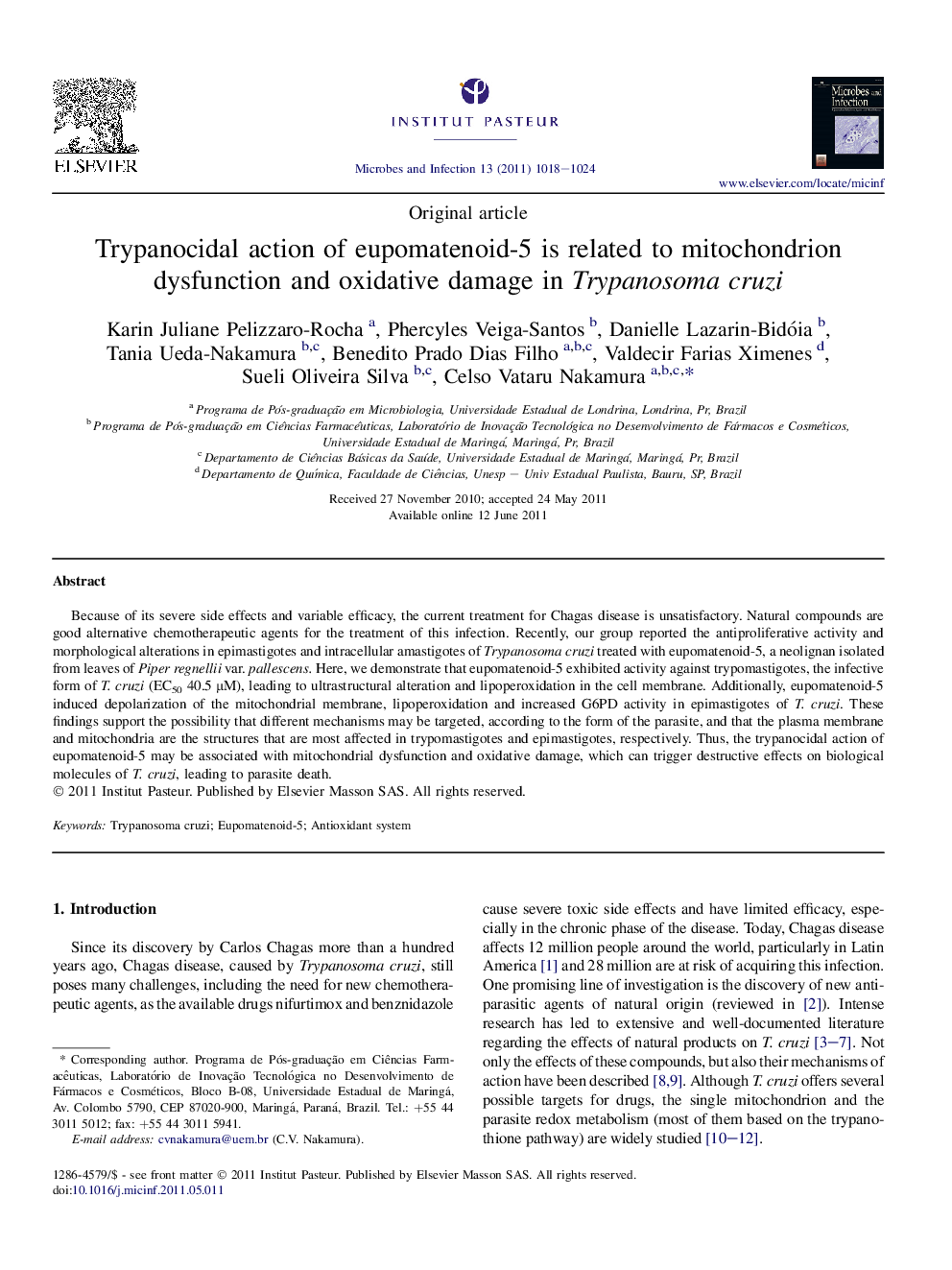 Trypanocidal action of eupomatenoid-5 is related to mitochondrion dysfunction and oxidative damage in Trypanosoma cruzi