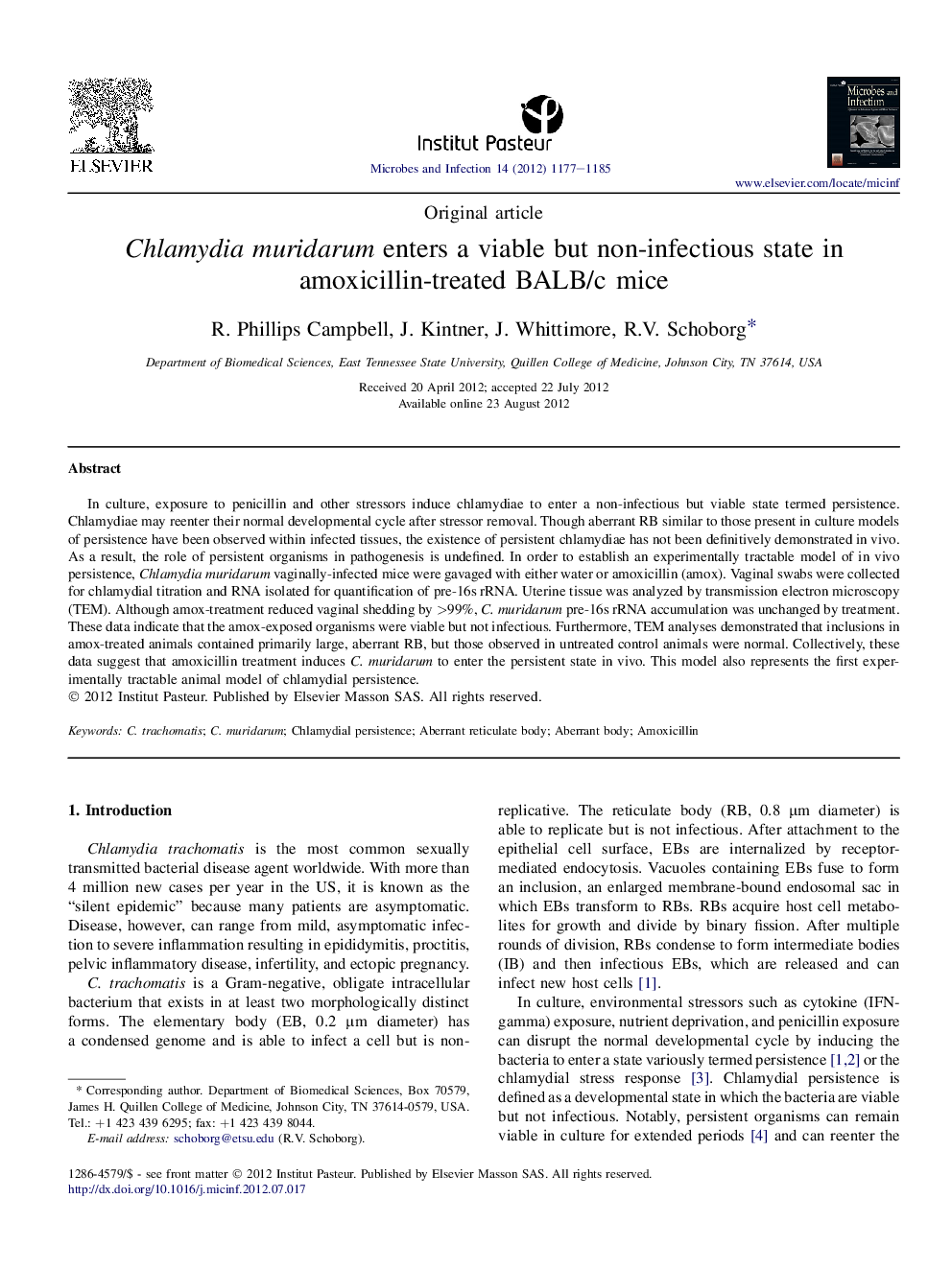 Chlamydia muridarum enters a viable but non-infectious state in amoxicillin-treated BALB/c mice