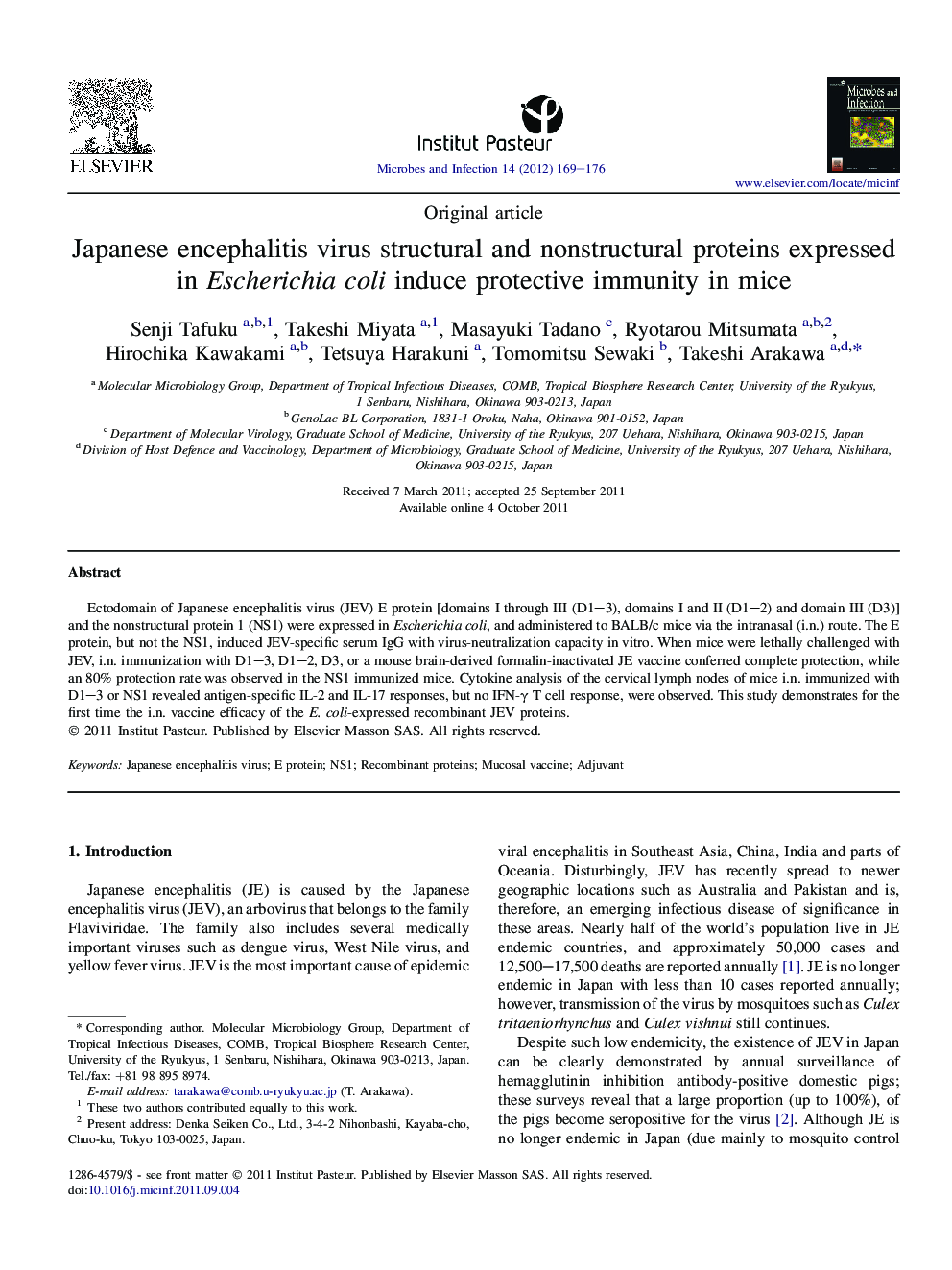 Japanese encephalitis virus structural and nonstructural proteins expressed in Escherichia coli induce protective immunity in mice