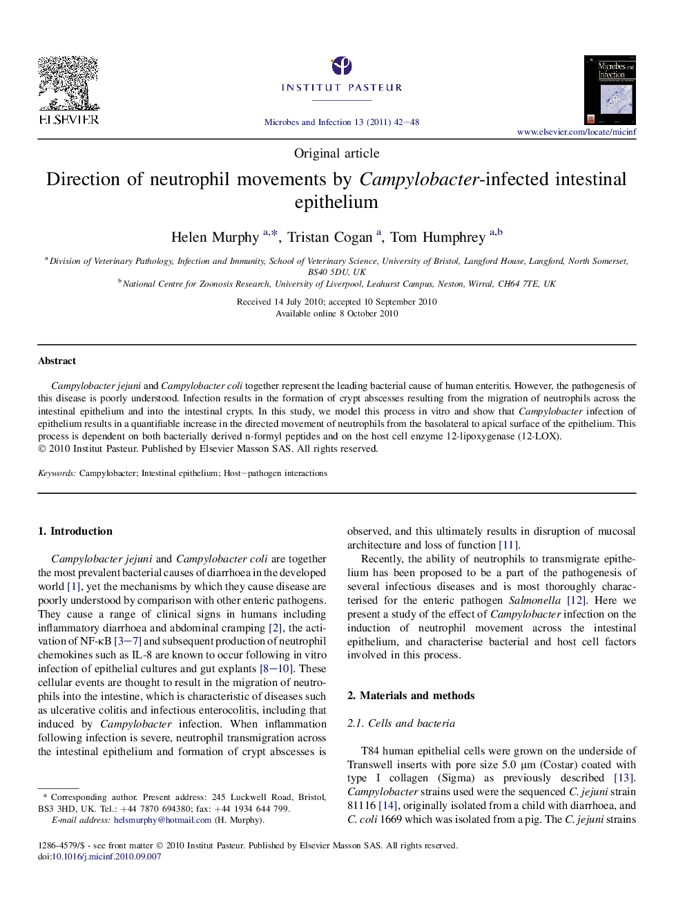 Direction of neutrophil movements by Campylobacter-infected intestinal epithelium