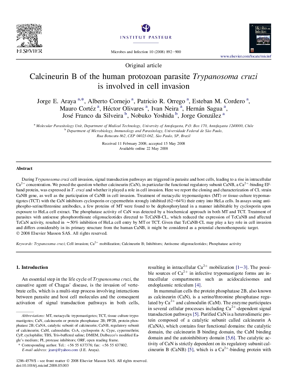 Calcineurin B of the human protozoan parasite Trypanosoma cruzi is involved in cell invasion