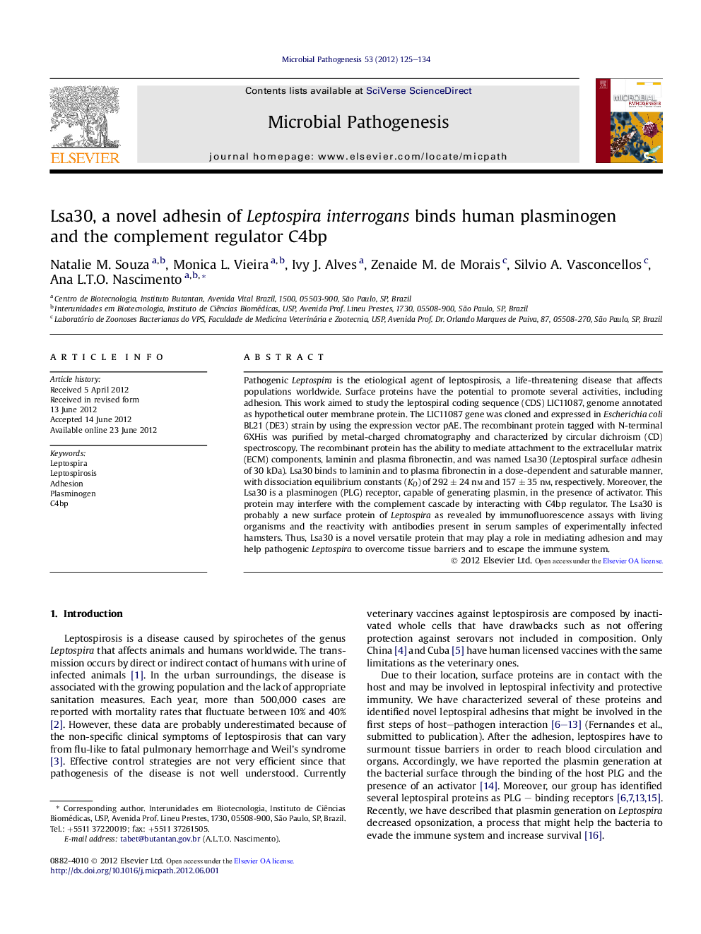 Lsa30, a novel adhesin of Leptospira interrogans binds human plasminogen and the complement regulator C4bp