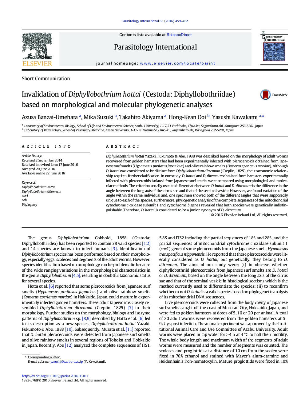 Invalidation of Diphyllobothrium hottai (Cestoda: Diphyllobothriidae) based on morphological and molecular phylogenetic analyses