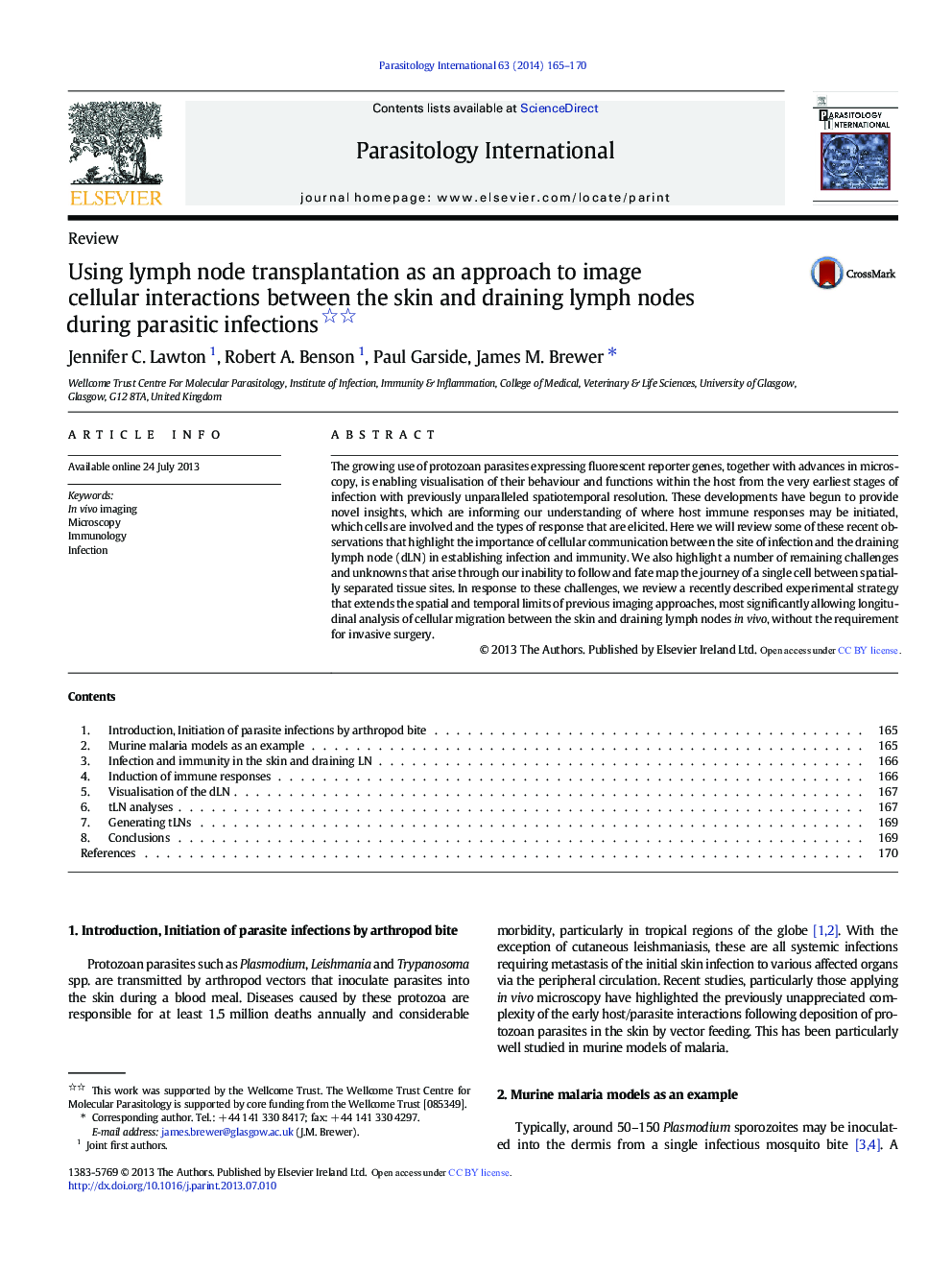 Using lymph node transplantation as an approach to image cellular interactions between the skin and draining lymph nodes during parasitic infections