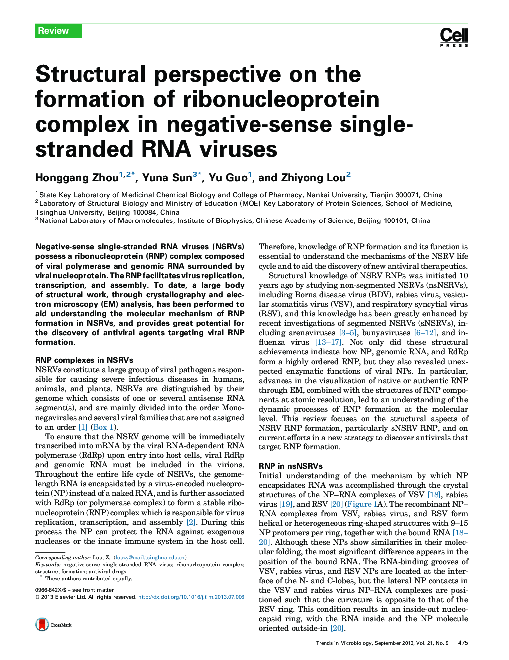 Structural perspective on the formation of ribonucleoprotein complex in negative-sense single-stranded RNA viruses