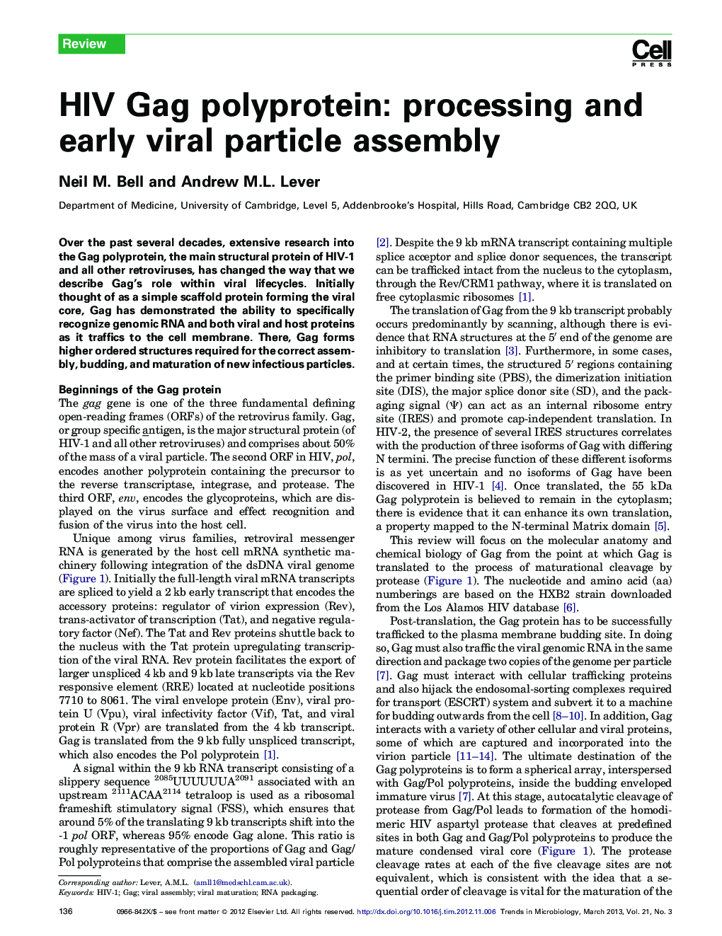 HIV Gag polyprotein: processing and early viral particle assembly