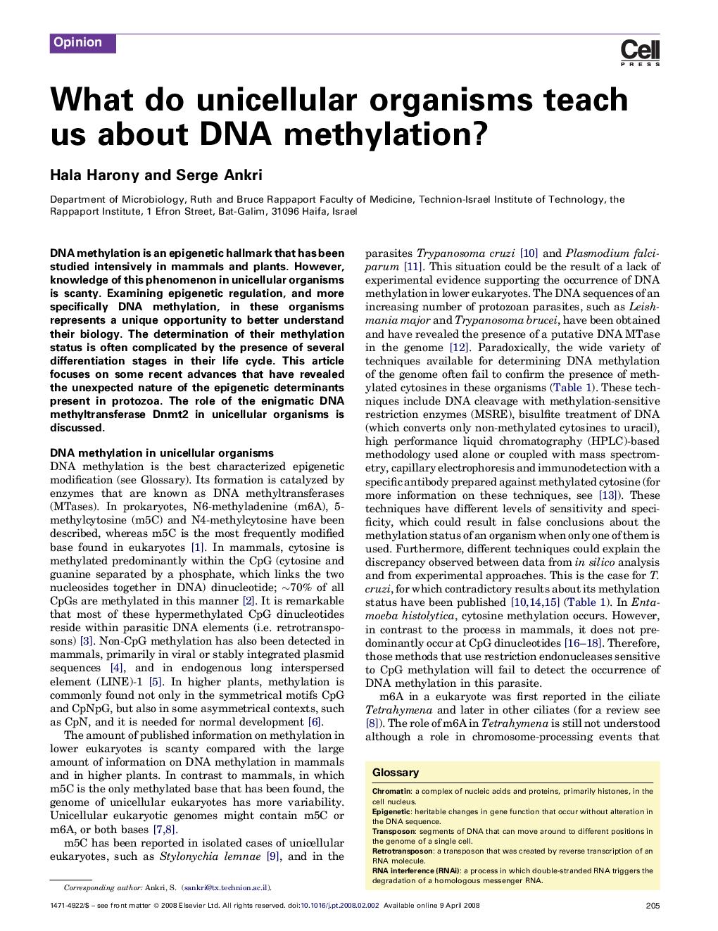 What do unicellular organisms teach us about DNA methylation?