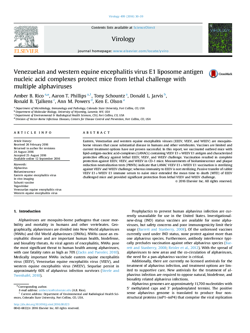 Venezuelan and western equine encephalitis virus E1 liposome antigen nucleic acid complexes protect mice from lethal challenge with multiple alphaviruses