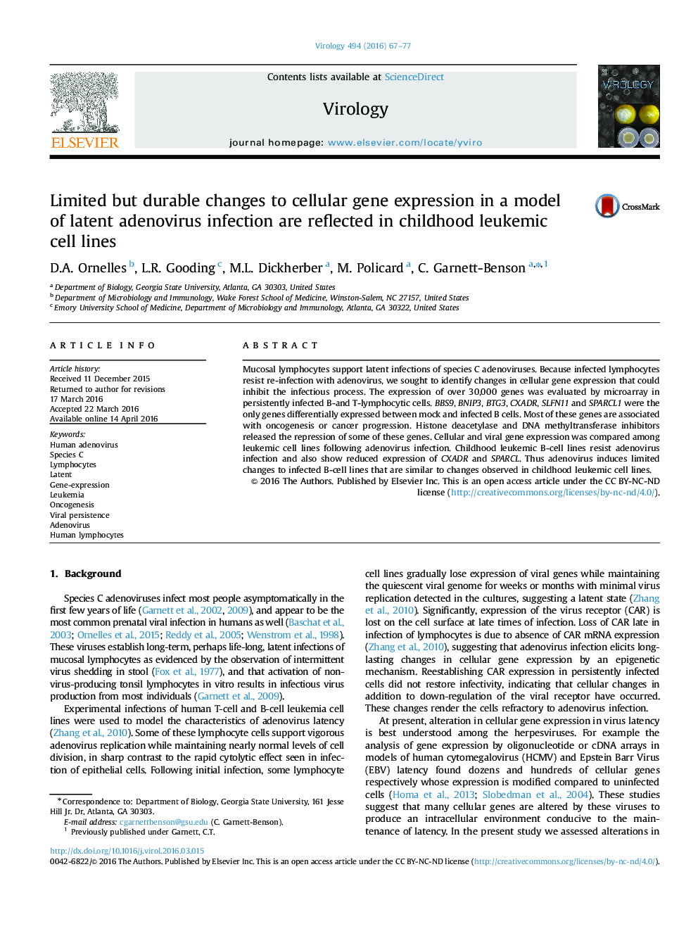 Limited but durable changes to cellular gene expression in a model of latent adenovirus infection are reflected in childhood leukemic cell lines