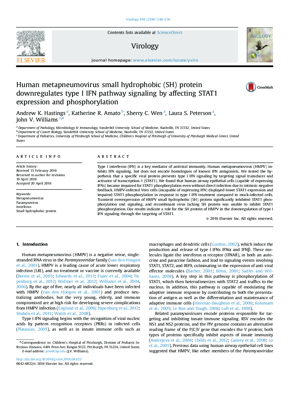 Human metapneumovirus small hydrophobic (SH) protein downregulates type I IFN pathway signaling by affecting STAT1 expression and phosphorylation