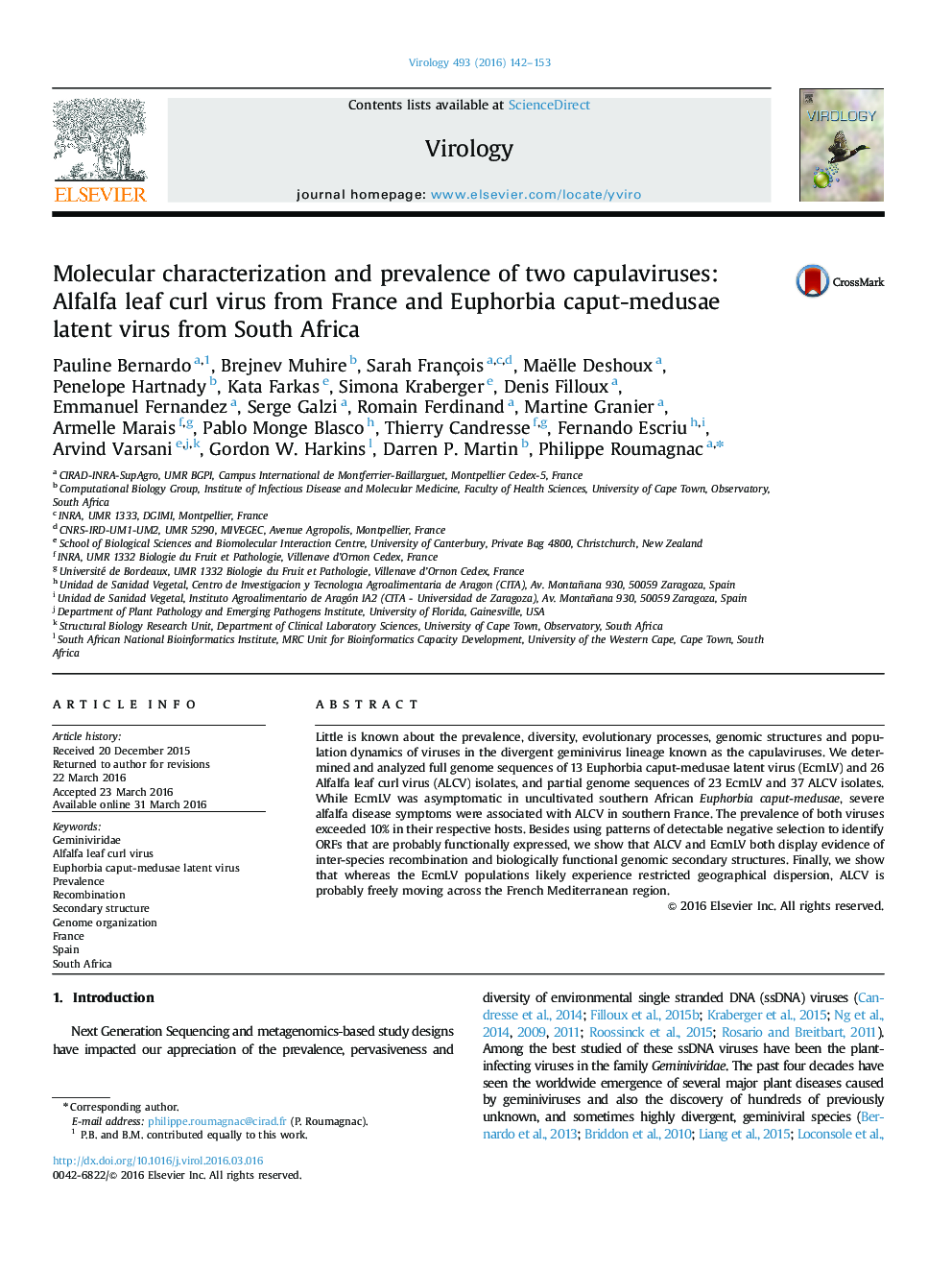 Molecular characterization and prevalence of two capulaviruses: Alfalfa leaf curl virus from France and Euphorbia caput-medusae latent virus from South Africa