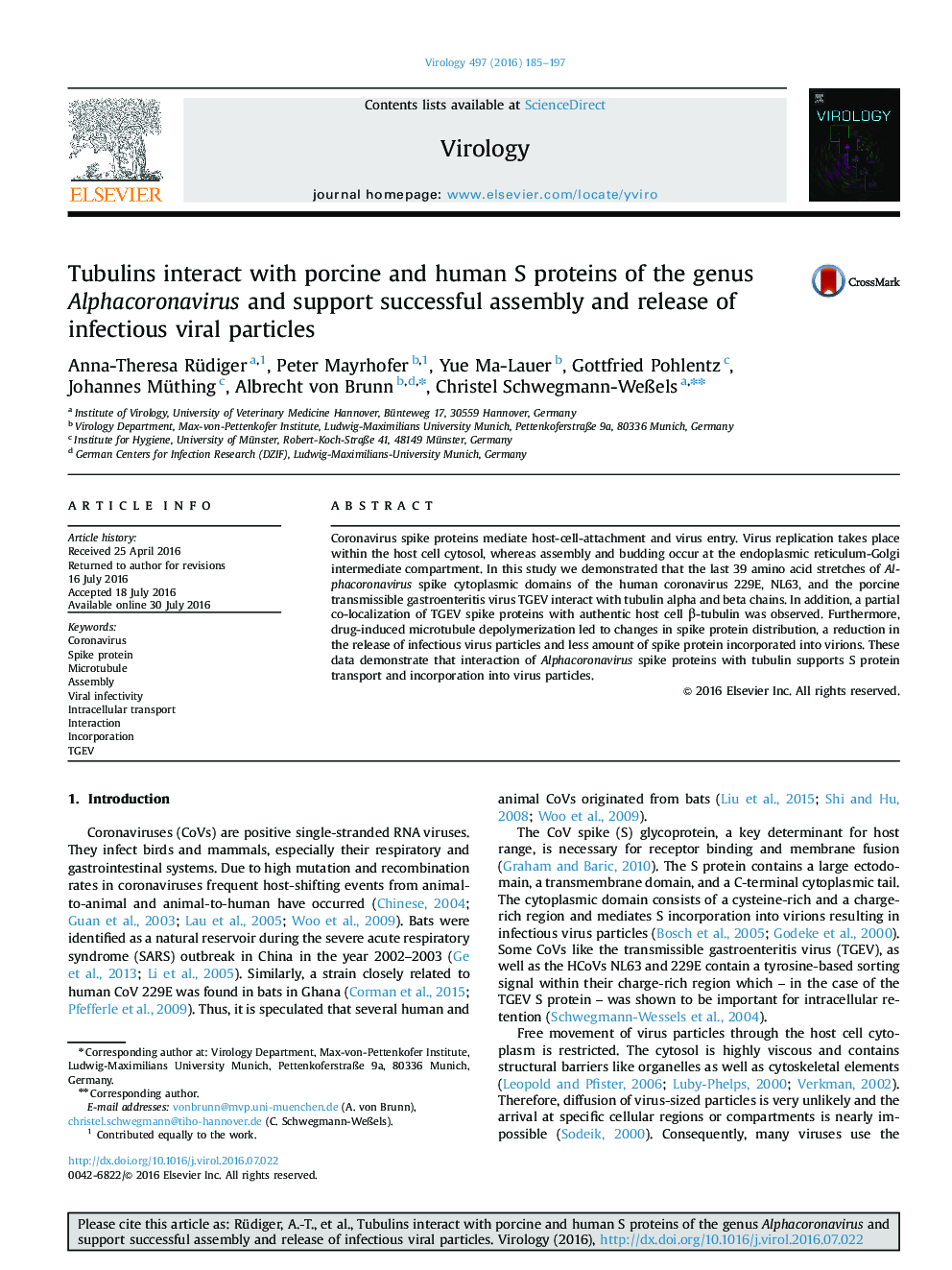 Tubulins interact with porcine and human S proteins of the genus Alphacoronavirus and support successful assembly and release of infectious viral particles