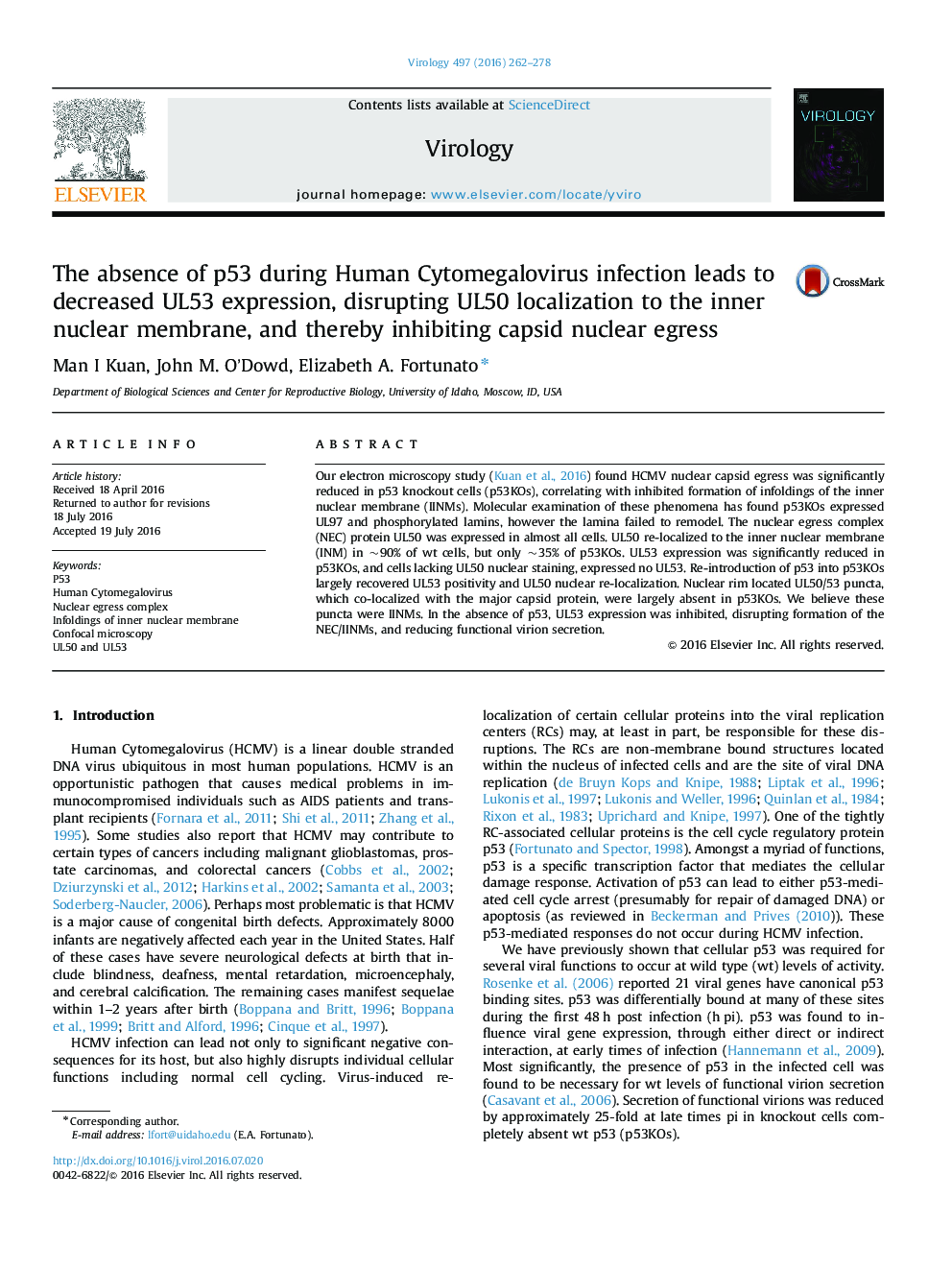 The absence of p53 during Human Cytomegalovirus infection leads to decreased UL53 expression, disrupting UL50 localization to the inner nuclear membrane, and thereby inhibiting capsid nuclear egress