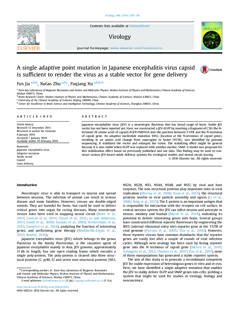 A single adaptive point mutation in Japanese encephalitis virus capsid is sufficient to render the virus as a stable vector for gene delivery