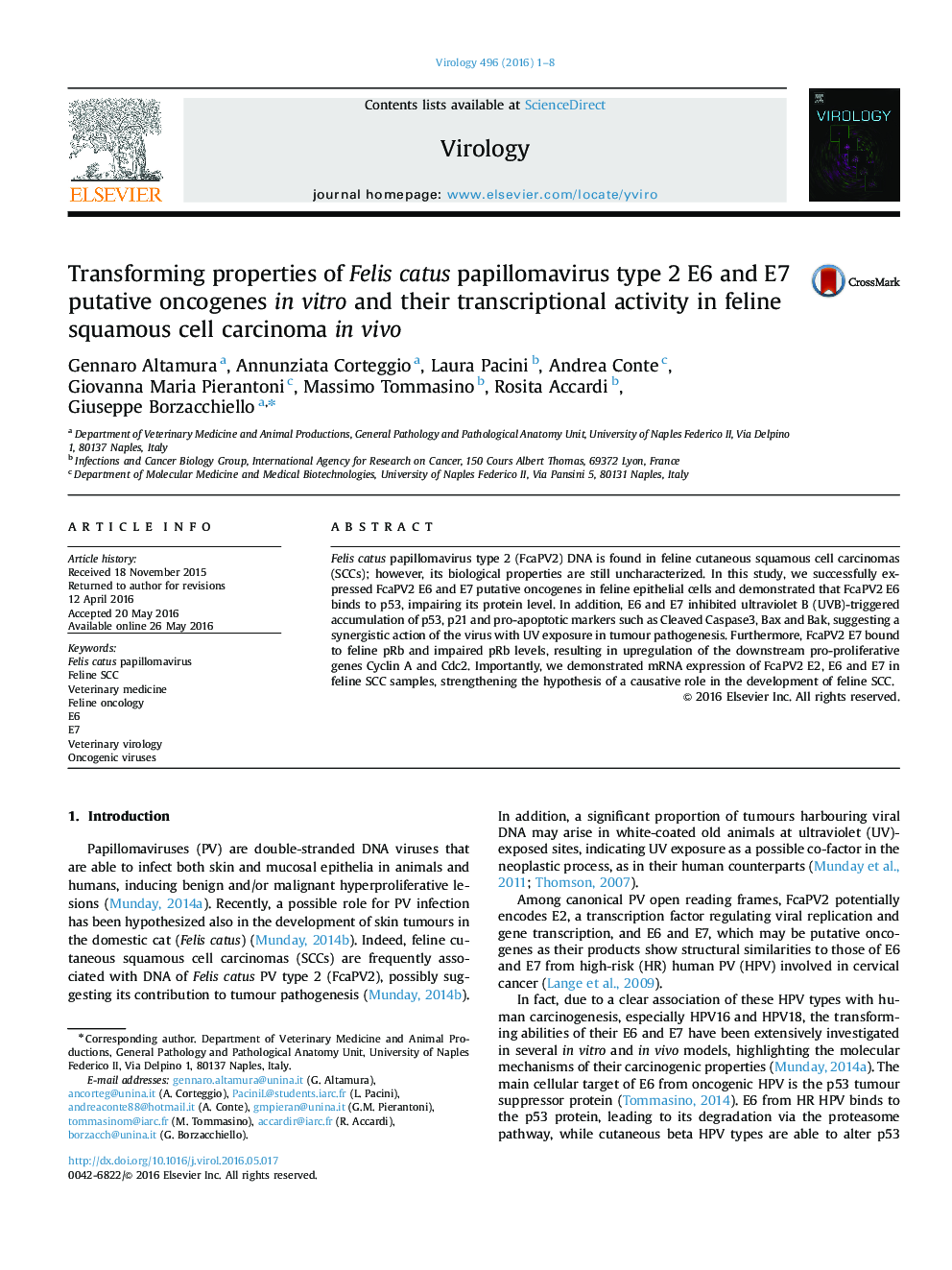 Transforming properties of Felis catus papillomavirus type 2 E6 and E7 putative oncogenes in vitro and their transcriptional activity in feline squamous cell carcinoma in vivo