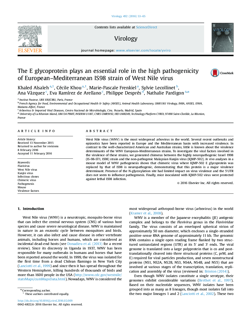 The E glycoprotein plays an essential role in the high pathogenicity of European-Mediterranean IS98 strain of West Nile virus