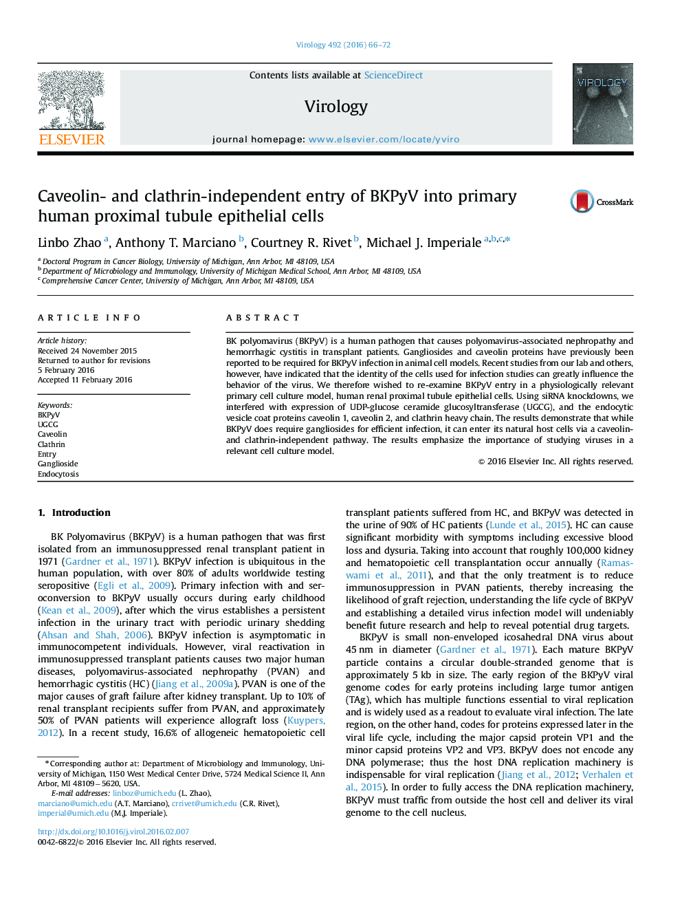 Caveolin- and clathrin-independent entry of BKPyV into primary human proximal tubule epithelial cells