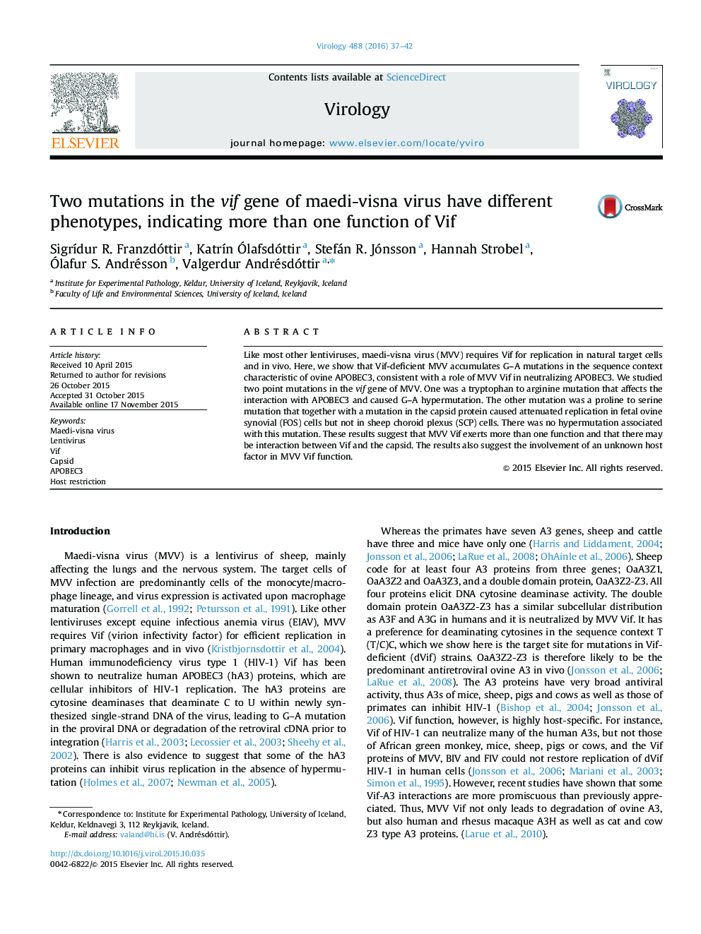 Two mutations in the vif gene of maedi-visna virus have different phenotypes, indicating more than one function of Vif