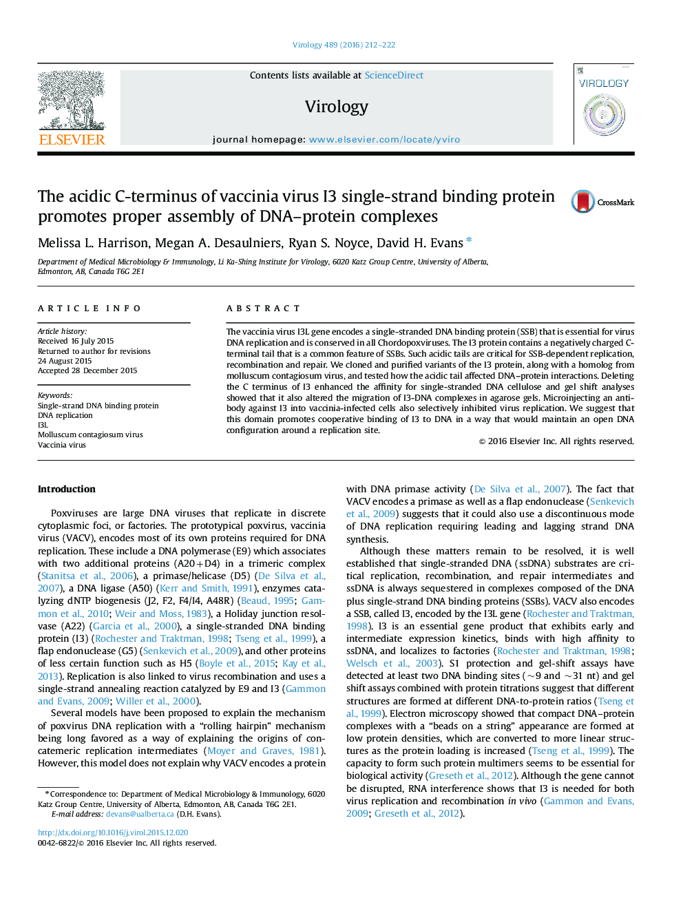 The acidic C-terminus of vaccinia virus I3 single-strand binding protein promotes proper assembly of DNA-protein complexes