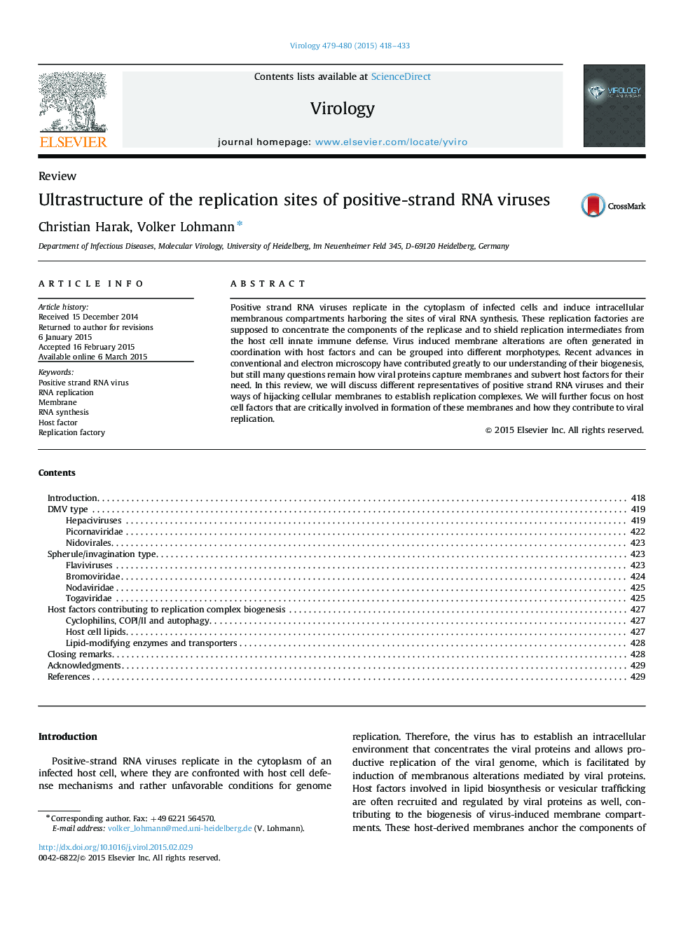 Ultrastructure of the replication sites of positive-strand RNA viruses