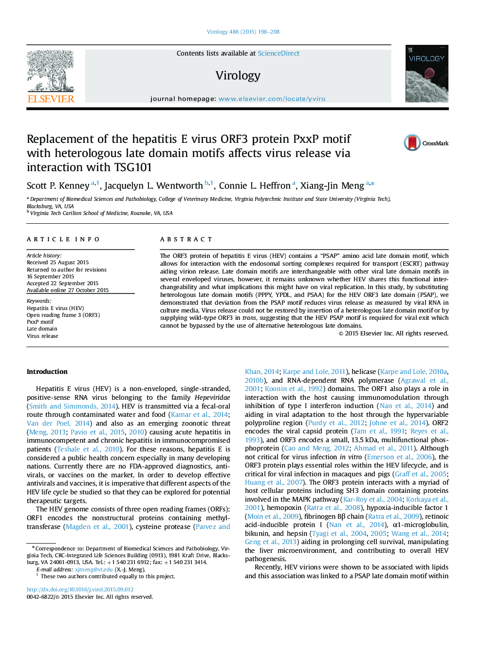 Replacement of the hepatitis E virus ORF3 protein PxxP motif with heterologous late domain motifs affects virus release via interaction with TSG101