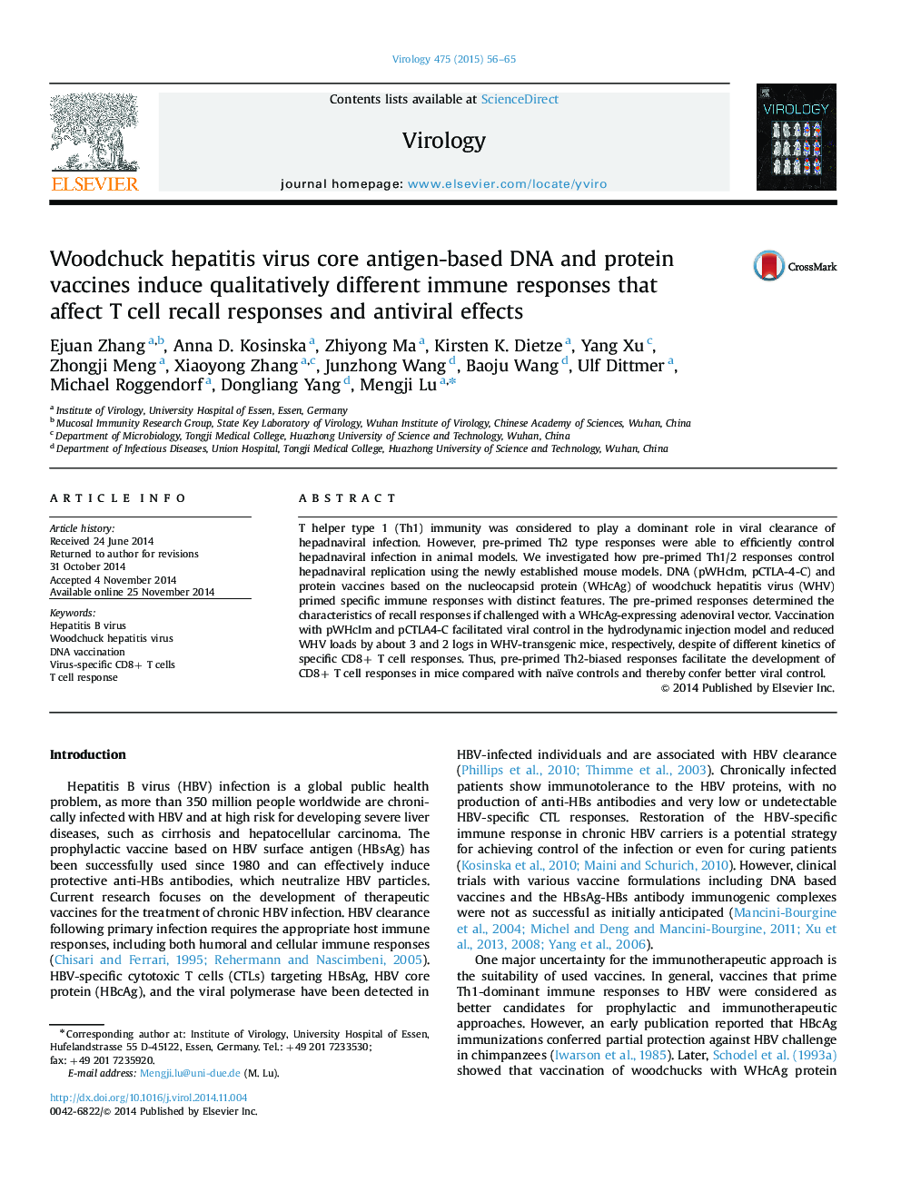 Woodchuck hepatitis virus core antigen-based DNA and protein vaccines induce qualitatively different immune responses that affect T cell recall responses and antiviral effects