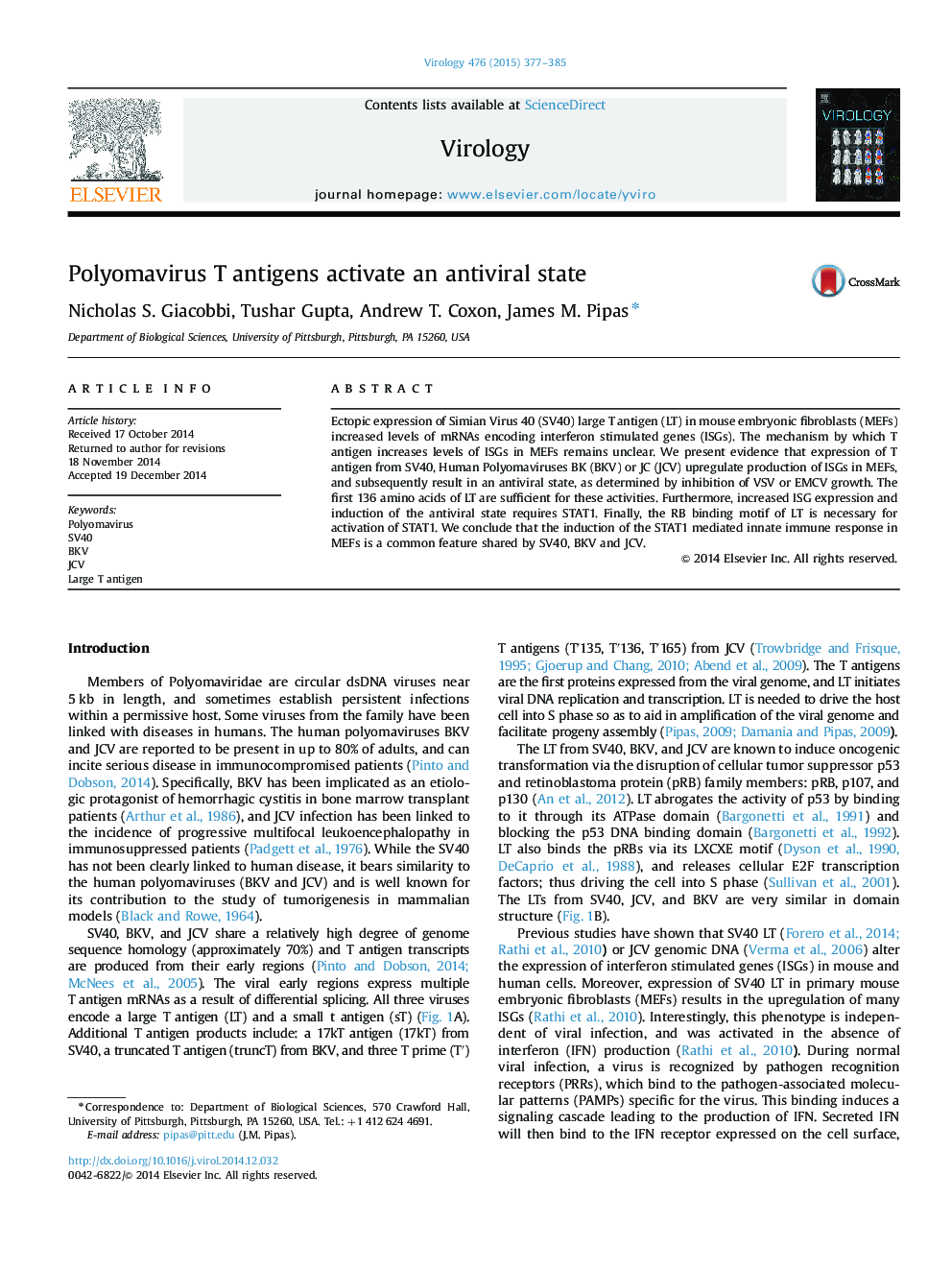 Polyomavirus T antigens activate an antiviral state