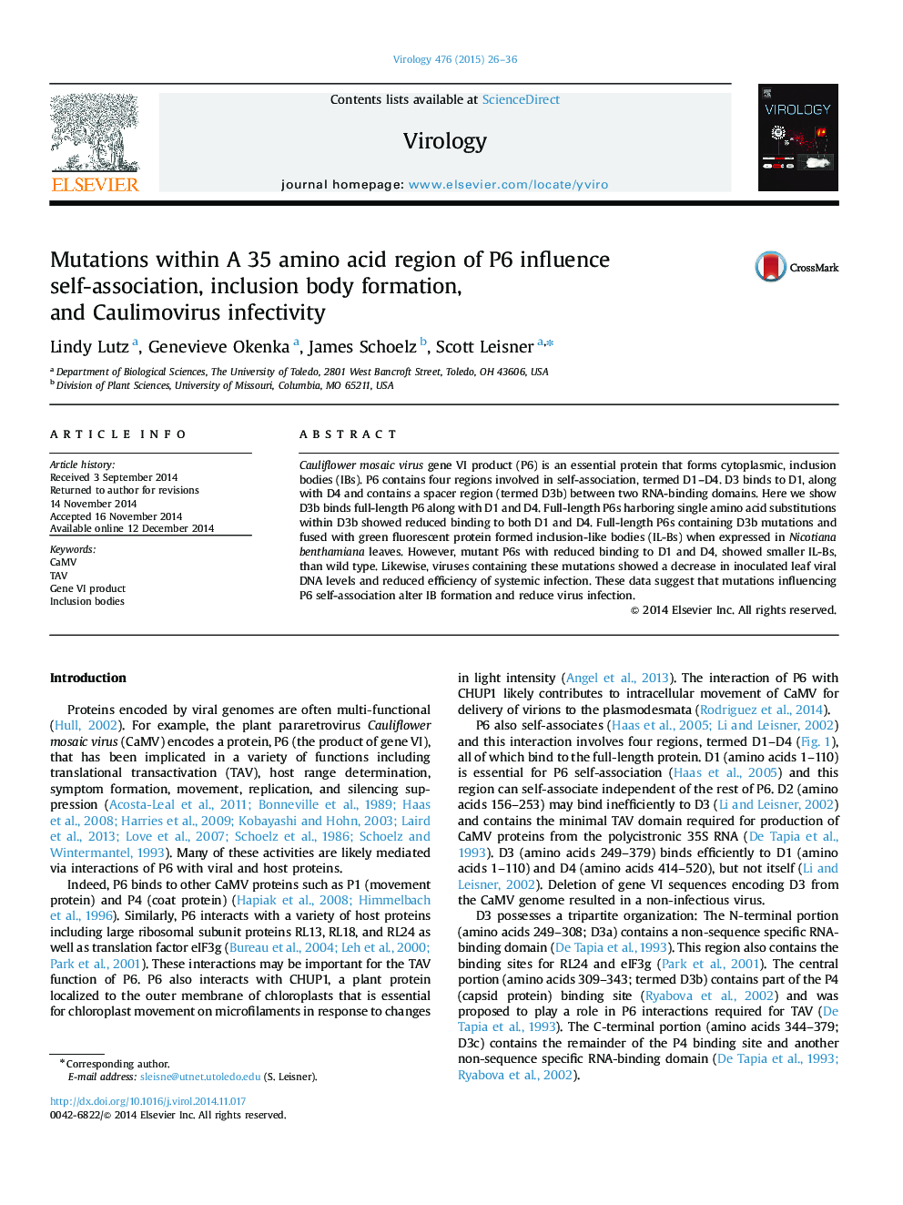 Mutations within A 35 amino acid region of P6 influence self-association, inclusion body formation, and Caulimovirus infectivity