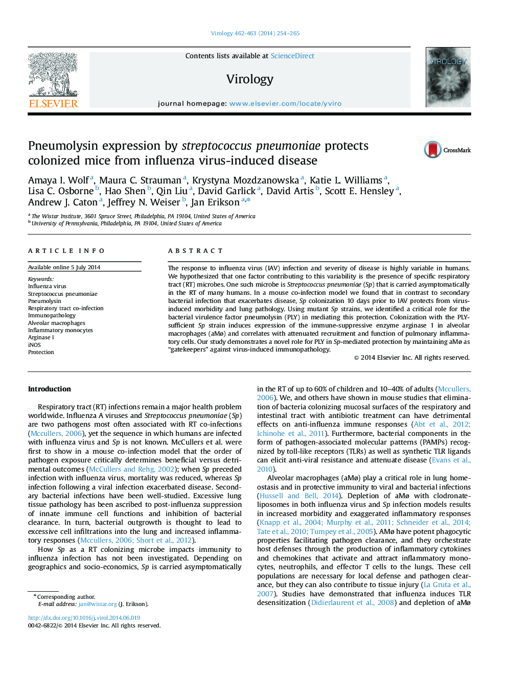 Pneumolysin expression by streptococcus pneumoniae protects colonized mice from influenza virus-induced disease