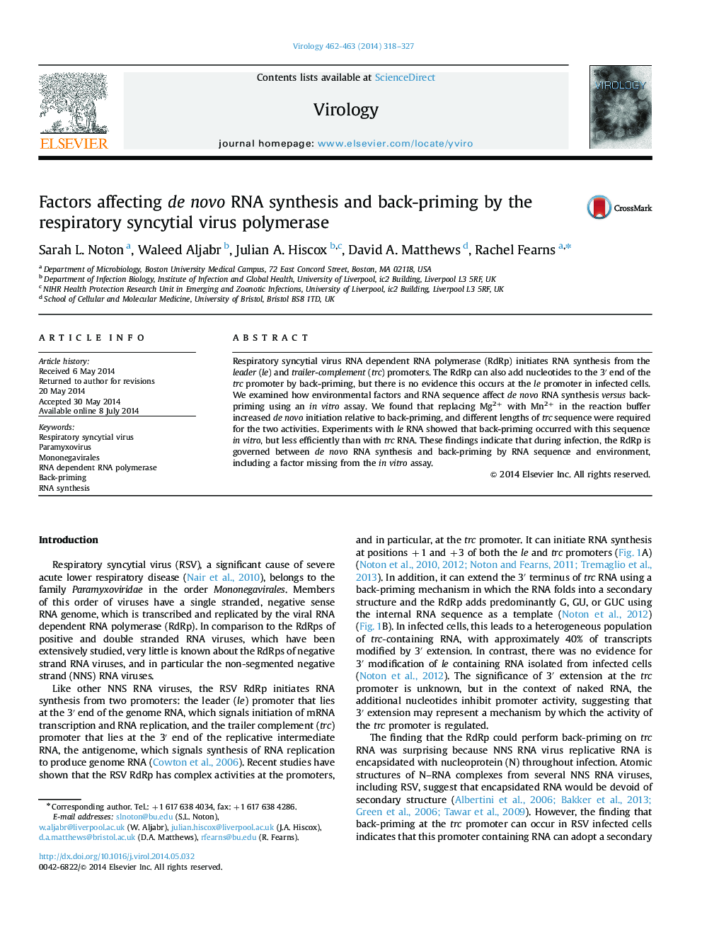 Factors affecting de novo RNA synthesis and back-priming by the respiratory syncytial virus polymerase