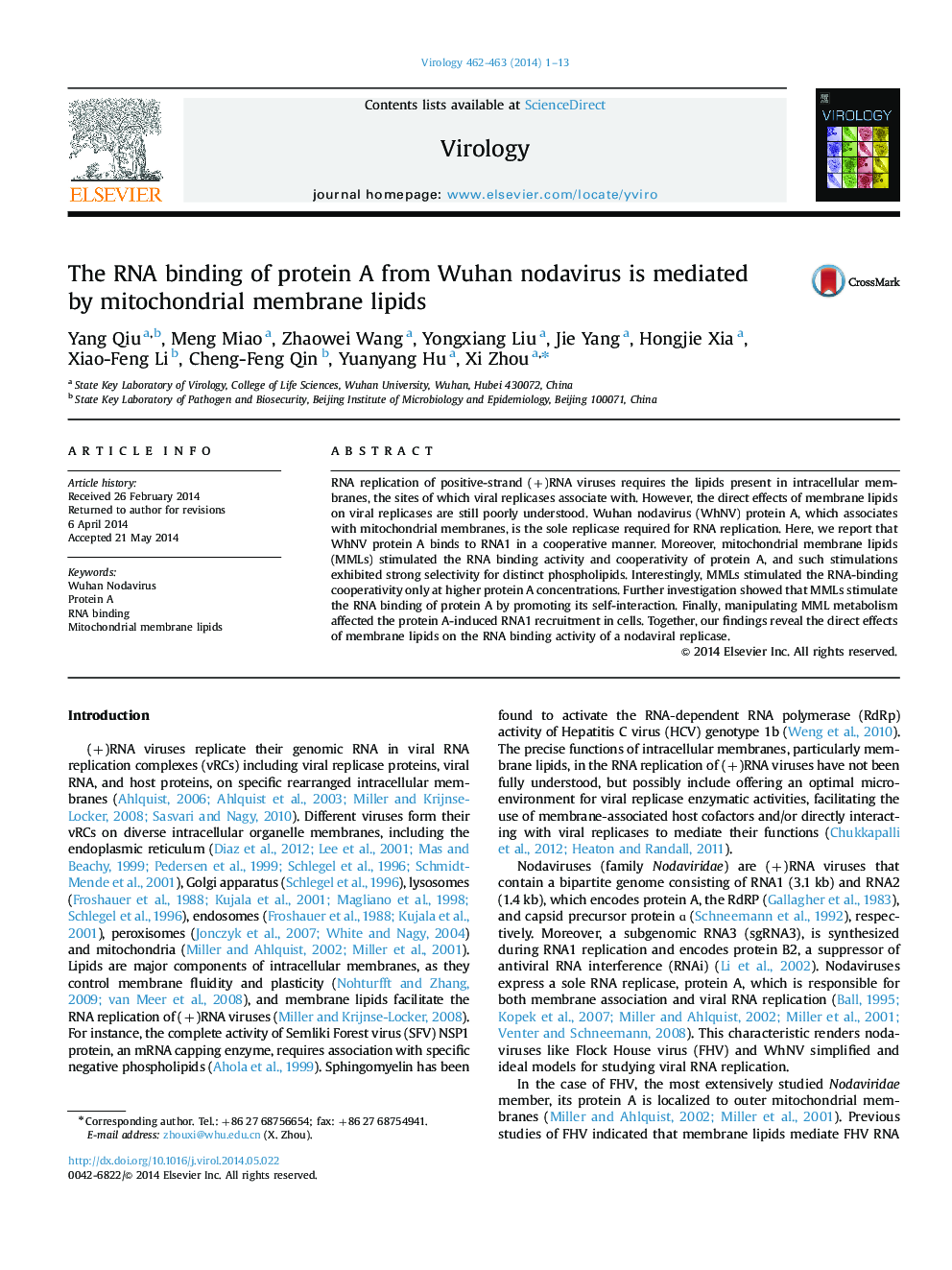 The RNA binding of protein A from Wuhan nodavirus is mediated by mitochondrial membrane lipids