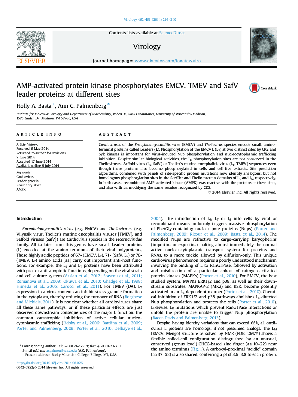 AMP-activated protein kinase phosphorylates EMCV, TMEV and SafV leader proteins at different sites