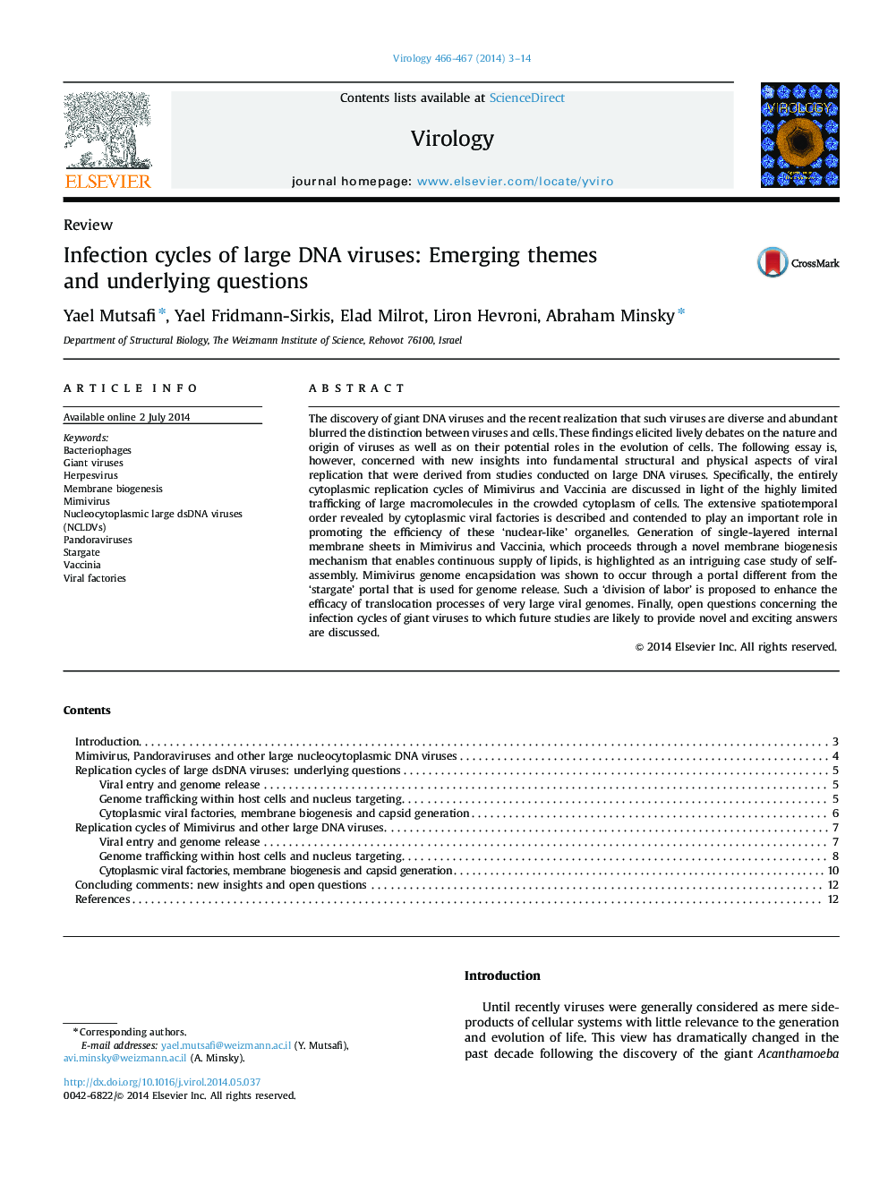 Infection cycles of large DNA viruses: Emerging themes and underlying questions