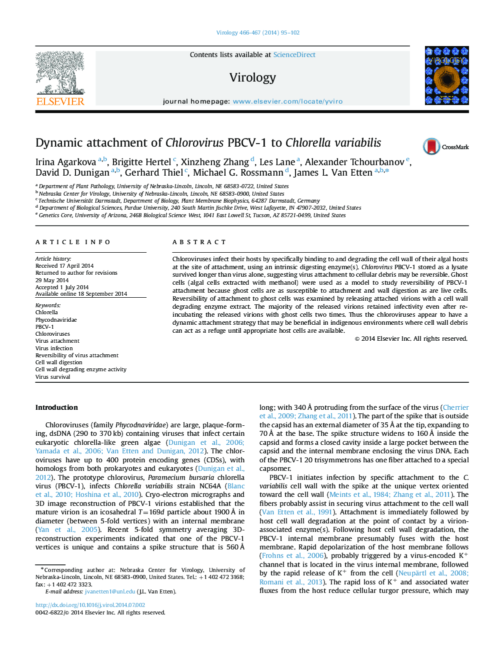 Dynamic attachment of Chlorovirus PBCV-1 to Chlorella variabilis