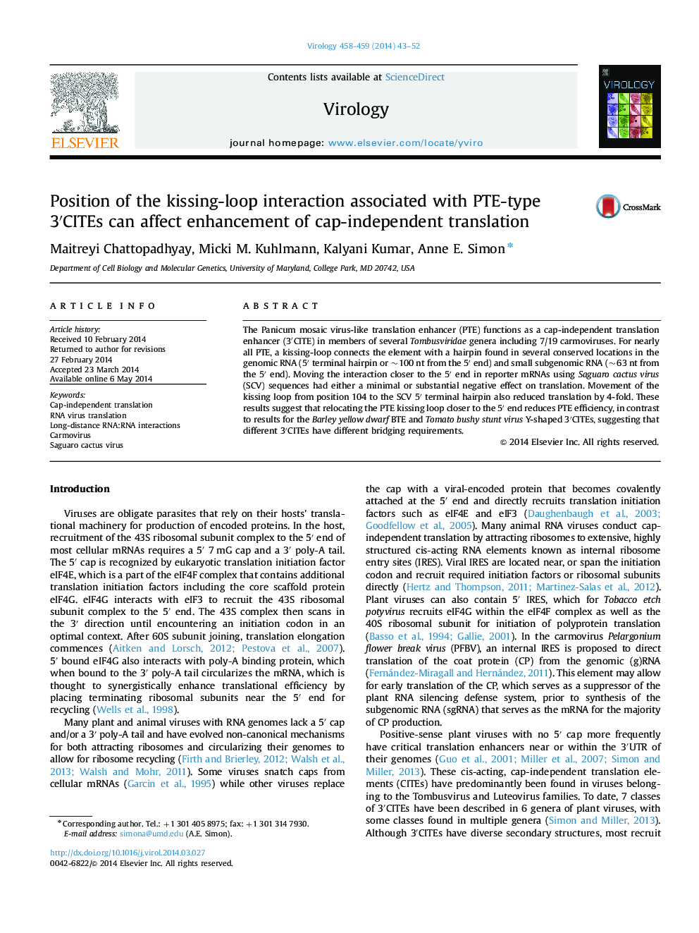 Position of the kissing-loop interaction associated with PTE-type 3â²CITEs can affect enhancement of cap-independent translation