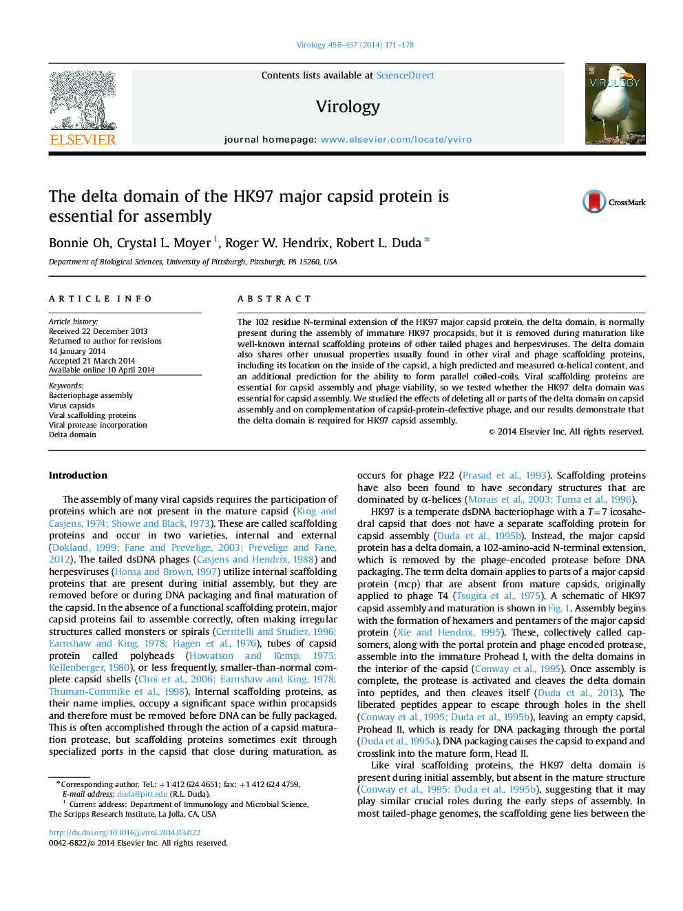 The delta domain of the HK97 major capsid protein is essential for assembly