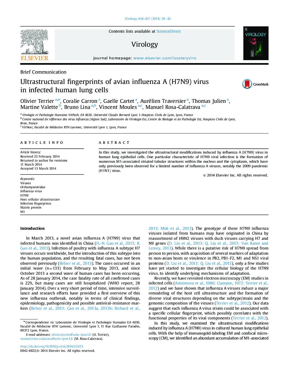 Ultrastructural fingerprints of avian influenza A (H7N9) virus in infected human lung cells