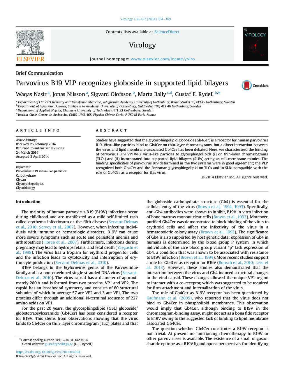 Parvovirus B19 VLP recognizes globoside in supported lipid bilayers