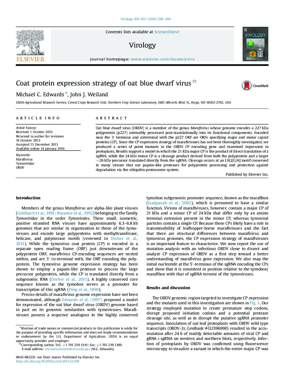 Coat protein expression strategy of oat blue dwarf virus