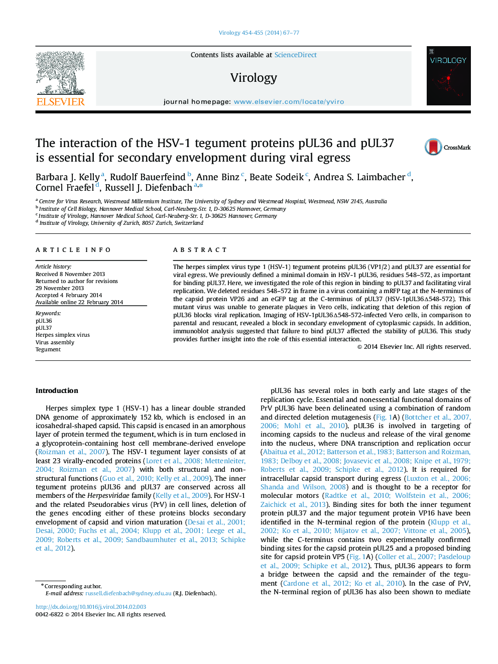 The interaction of the HSV-1 tegument proteins pUL36 and pUL37 is essential for secondary envelopment during viral egress